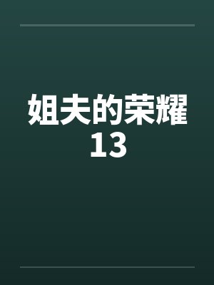 姐夫的荣耀13封面