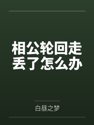 相公轮回走丢了怎么办封面