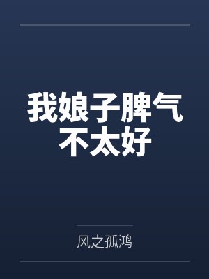 我在澜城算夜账封面