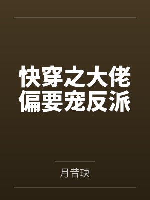 首席宠爱封面